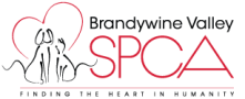 brandywine-logo